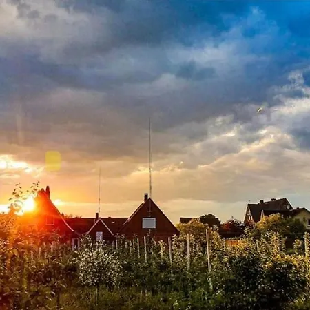 Ferienwohnung Bluetenblick A *